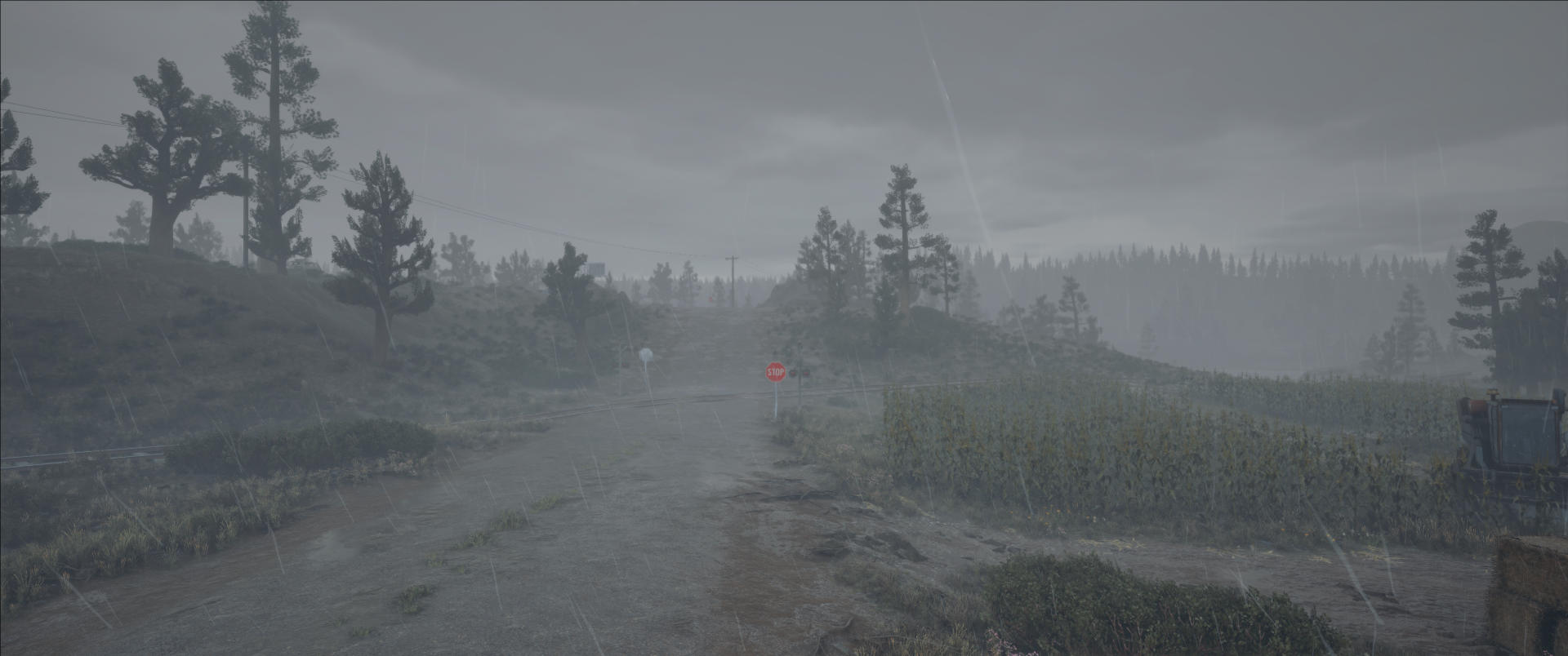 a rainy day by outing69@proton.me