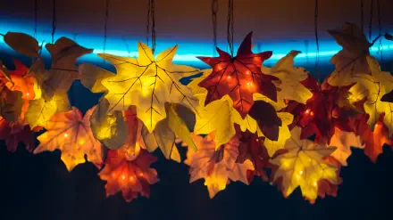 Illuminated fall leaves hang against a softly lit backdrop, creating a warm and vibrant atmosphere. This image serves as a stunning 4K Ultra HD desktop wallpaper and background.