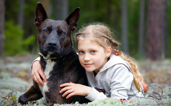  Dog_Girl