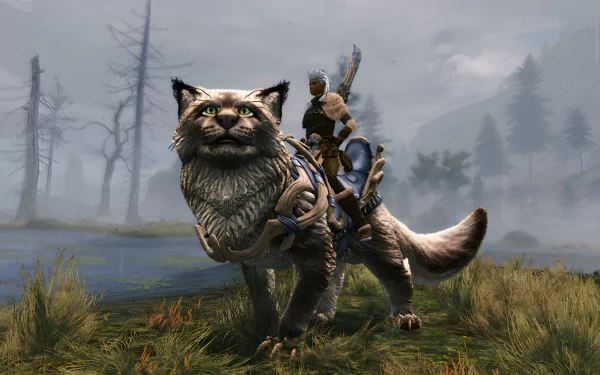 A captivating HD desktop wallpaper from Guild Wars 2: Janthir Wilds, featuring a character riding a majestic feline with striking green eyes amidst a misty landscape.