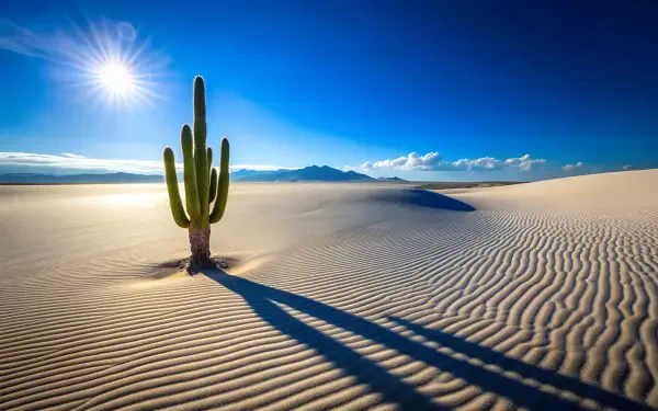 desert sky loneliness landscape nature HD Desktop Wallpaper | Background Image