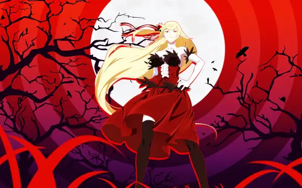  Anime - Monogatari series