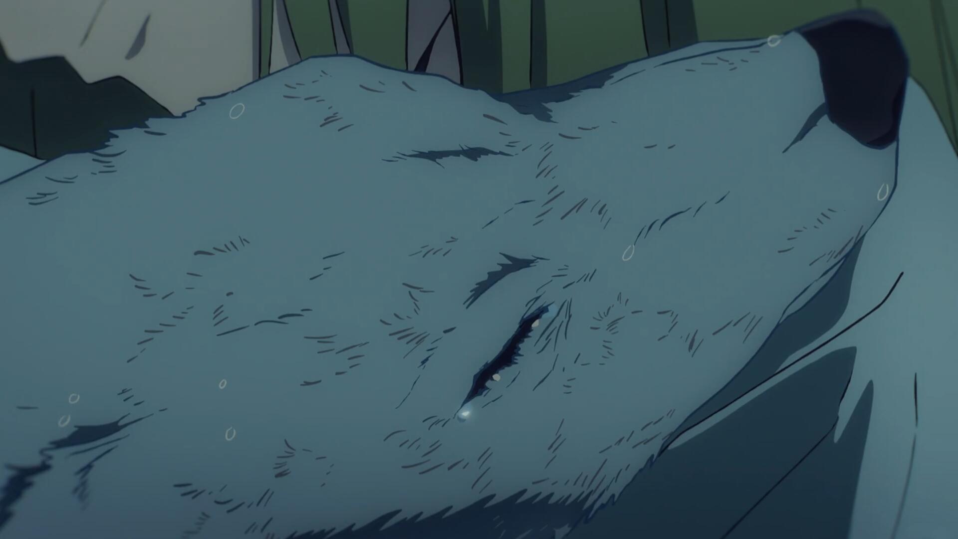 HD anime wallpaper featuring Enkidu from Fate/strange fake and Fate/Grand Order, showing a close-up of a serene white wolf resting with water droplets on its fur.