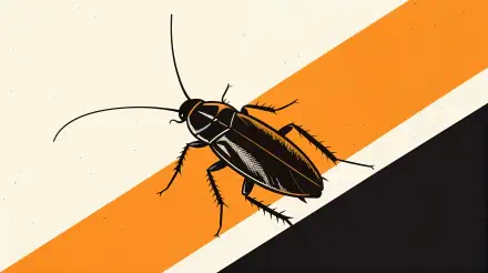 A stylized illustration of a cockroach against a backdrop of bold orange and black stripes, serving as a striking 4K Ultra HD PC desktop wallpaper and background.