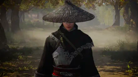 A character from the video game Dynasty Warriors: Origins stands in a misty landscape, wearing a traditional hat and black attire, captured in a high-definition PC desktop wallpaper.