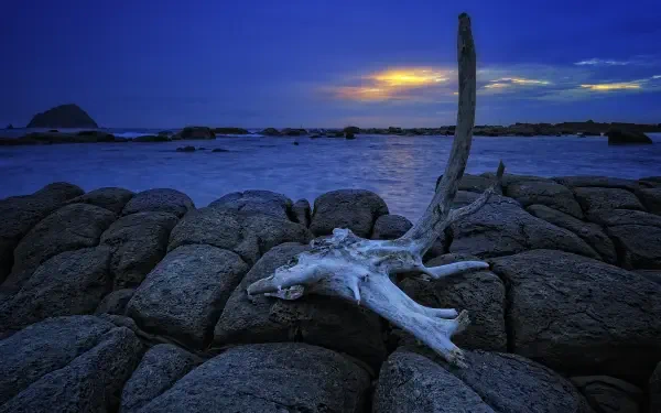 landscape sea HD Desktop Wallpaper | Background Image