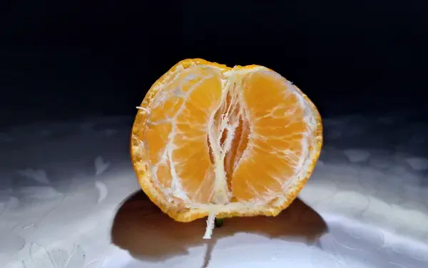 macro food fruit orange (Fruit) HD Desktop Wallpaper | Background Image