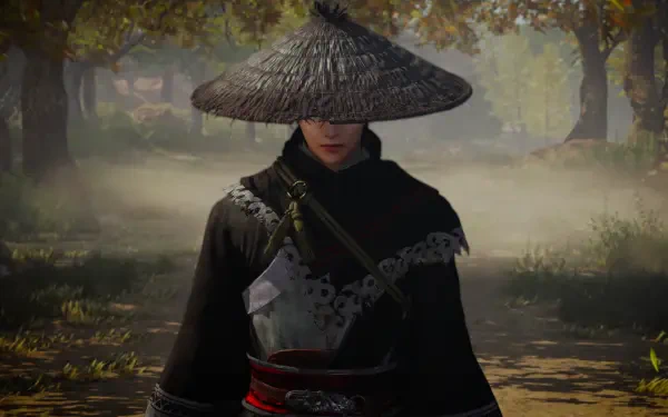 A character from the video game Dynasty Warriors: Origins stands in a misty landscape, wearing a traditional hat and black attire, captured in a high-definition PC desktop wallpaper.