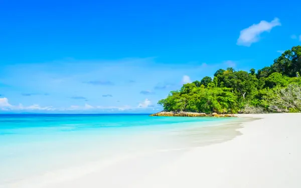 A vibrant 4K Ultra HD desktop wallpaper showcasing a pristine white sandy beach, clear turquoise waters, and lush green foliage under a bright blue sky.
