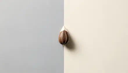 A close-up of a seed resting against a light gray and beige background, showcased in 4K Ultra HD, highlighting its natural texture and details.