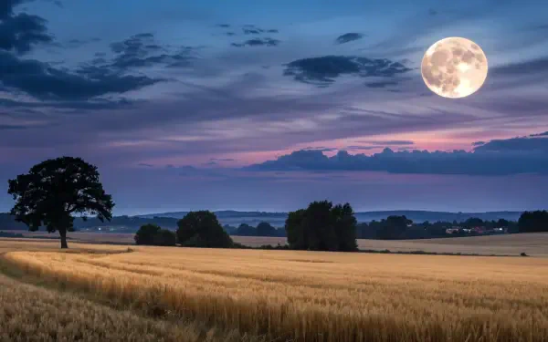 A radiant harvest moon illuminates a tranquil landscape, casting a soft glow over golden fields and silhouetted trees, creating a serene nature scene in stunning 4K Ultra HD.