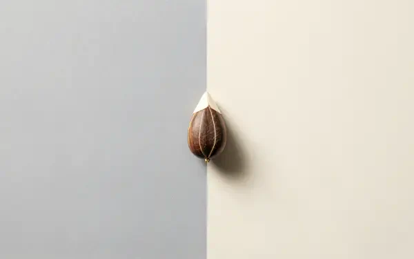 A close-up of a seed resting against a light gray and beige background, showcased in 4K Ultra HD, highlighting its natural texture and details.