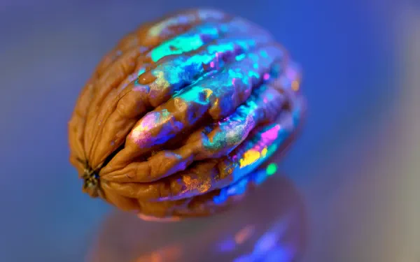 A close-up of a walnut displays vibrant iridescent colors against a blurred blue background, creating an eye-catching 4K Ultra HD PC desktop wallpaper and background.