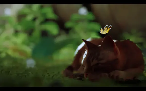 HD desktop wallpaper from the video game Stray featuring a resting cat with a butterfly hovering above in a lush, green environment.