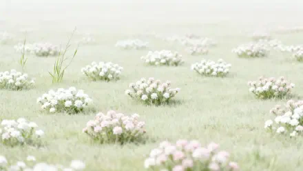 Blooming meadow of pale wildflower clusters on misty grass, soft-focus 4K Ultra HD PC desktop wallpaper and background.