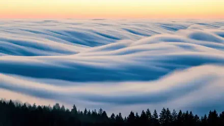4K Ultra HD PC desktop wallpaper: a sea of clouds rolling over a forested landscape at sunrise — serene nature background.