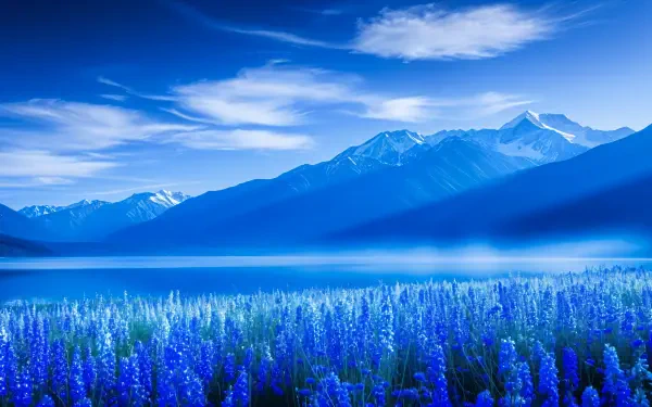 4K Ultra HD PC desktop wallpaper and background: panoramic blue mountains above a misty lake, with a foreground field of blue wildflowers under wispy clouds.