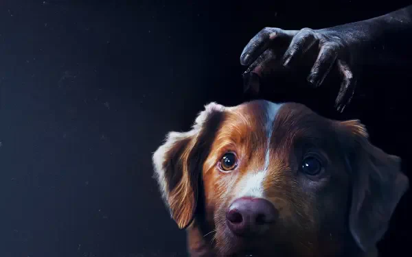 Good Boy! 4K Ultra HD PC desktop wallpaper: close-up of a brown dog with soulful eyes being gently patted on the head by a hand against a moody dark background.