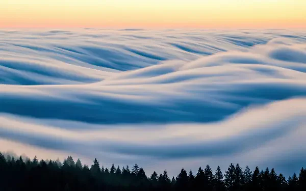 4K Ultra HD PC desktop wallpaper: a sea of clouds rolling over a forested landscape at sunrise — serene nature background.