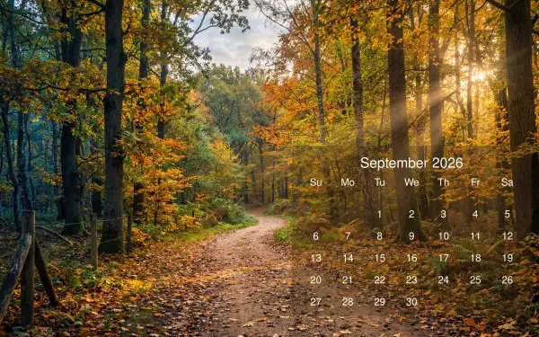 September 2026 calendar over a sunlit autumn forest path, 5K Ultra HD PC desktop wallpaper and background with translucent date grid.