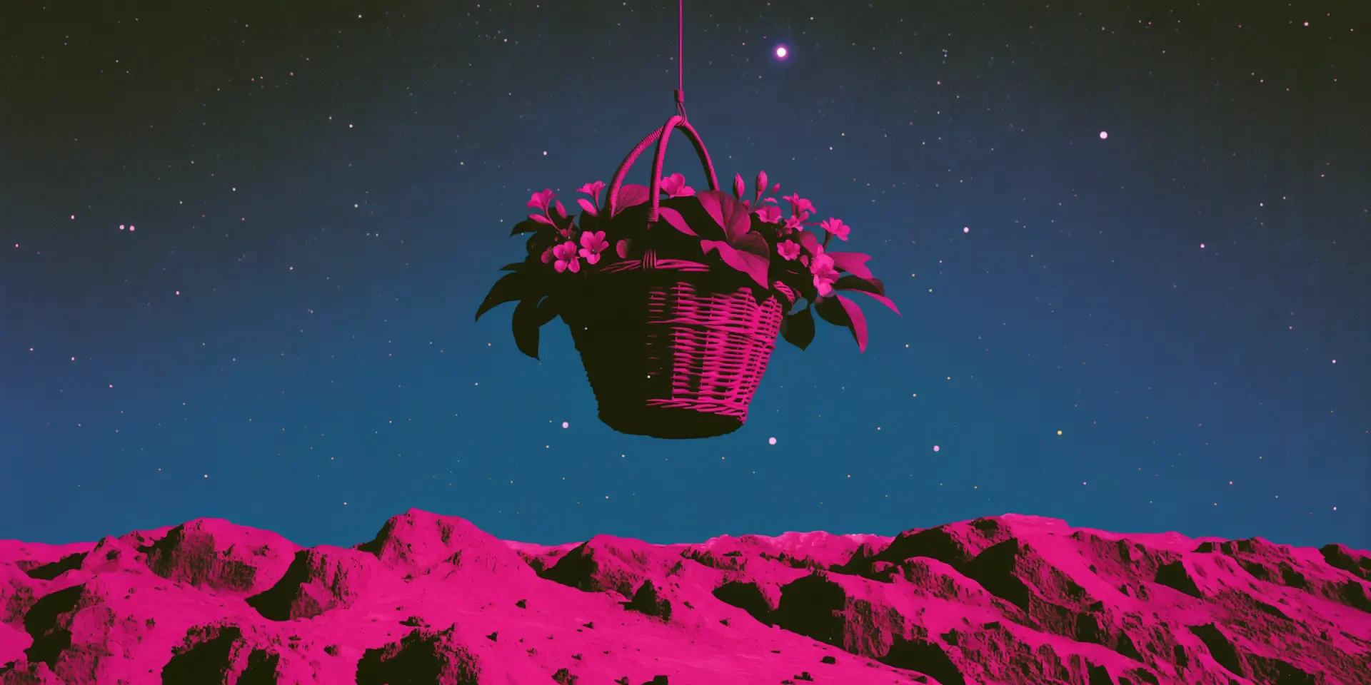 2K Quad HD PC wallpaper/background: a hanging basket of pink flowers floats above magenta-lit desert hills beneath a starry teal sky.
