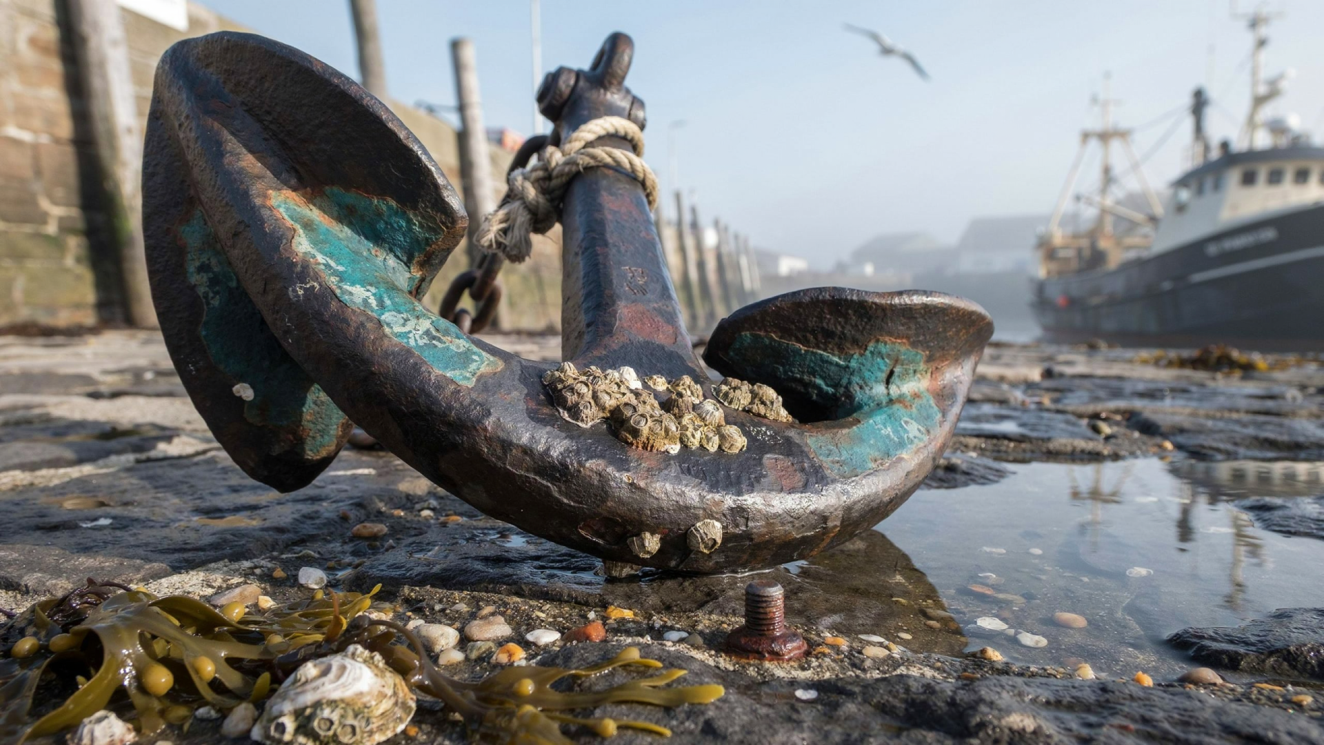 Barnacled rusty anchor resting on a wet dock, ships and a seagull in the foggy distance — 2K Quad HD PC desktop wallpaper and background.