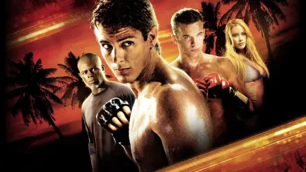 Never Back Down 4K Ultra HD PC desktop wallpaper: four fighters at sunset, a muscular fighter in the foreground, clenched fists, palm trees and a fiery sky.
