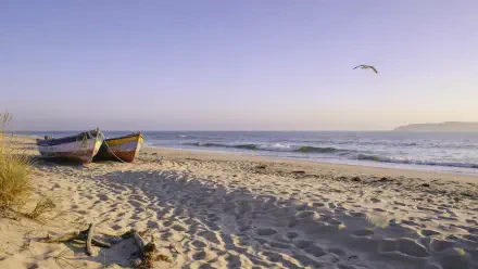 Coastal aesthetic beach scene: weathered boats on sunlit sand beside a calm ocean under a pastel sky with a lone seagull — 2K Quad HD PC desktop wallpaper/background.