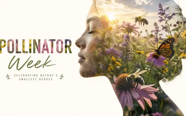 Pollinator Week 4K Ultra HD PC desktop wallpaper showing a woman's profile filled with flowers, bees and a monarch butterfly in a sunlit meadow.