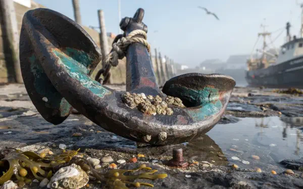 Barnacled rusty anchor resting on a wet dock, ships and a seagull in the foggy distance — 2K Quad HD PC desktop wallpaper and background.