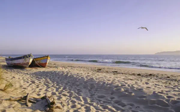 Coastal aesthetic beach scene: weathered boats on sunlit sand beside a calm ocean under a pastel sky with a lone seagull — 2K Quad HD PC desktop wallpaper/background.