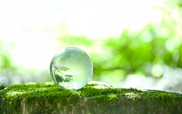 Tierra/Naturaleza Primavera Verde Esfera Marble Musgo Vidrio Fondo de pantalla HD | Fondo de Escritorio