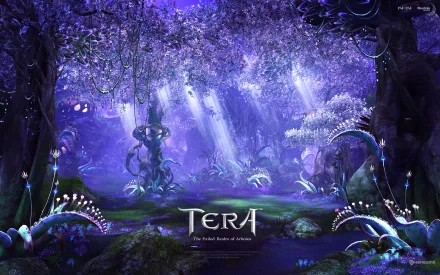 video game Tera HD Desktop Wallpaper | Background Image
