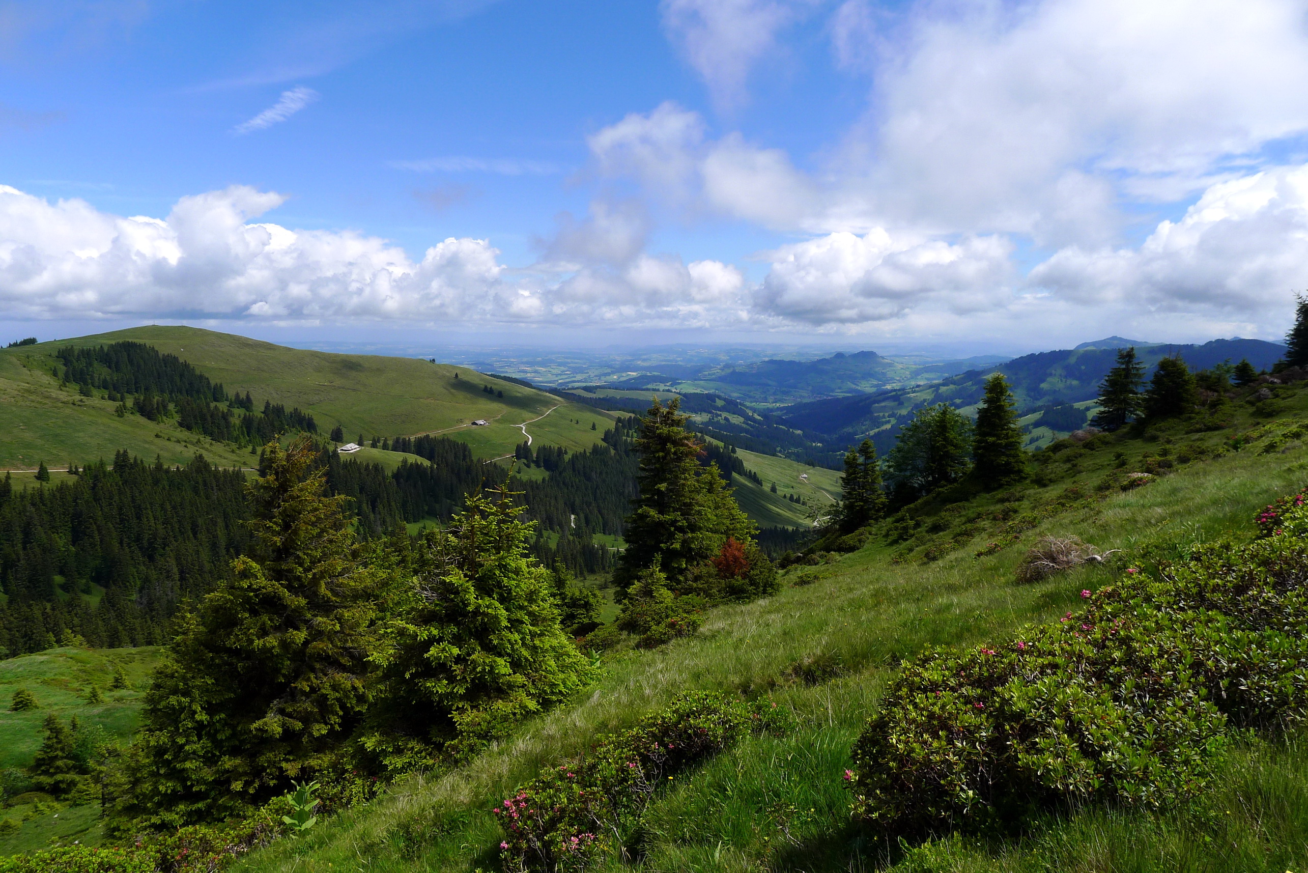 Download Forest Cloud Sky Panorama Scenic Mountain Nature Landscape HD ...