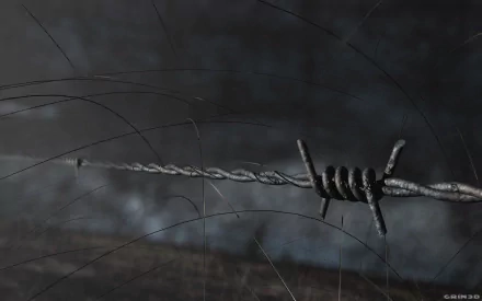 man made barb wire HD Desktop Wallpaper | Background Image