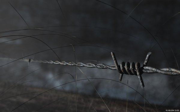 Man Made Barb Wire HD Wallpaper | Background Image