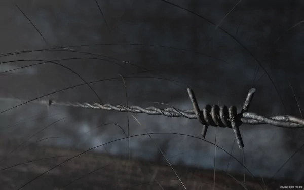 man made barb wire HD Desktop Wallpaper | Background Image