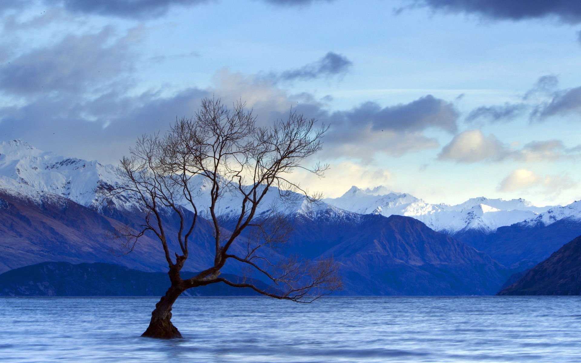 Download Alone Tree Lake Cloud Sky Mountain Landscape Nature Scenic Hd