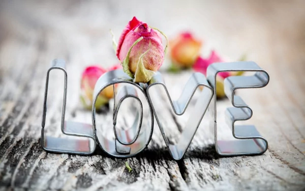 Romantic photography love HD Desktop Wallpaper | Background Image