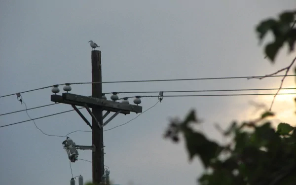 man made power line HD Desktop Wallpaper | Background Image