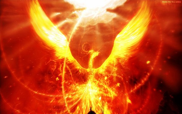 Fantasy Phoenix Fantasy Animals HD Wallpaper | Background Image