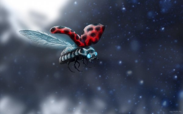 Comics Romantically Apocalyptic Drawing Ladybug HD Wallpaper | Background Image