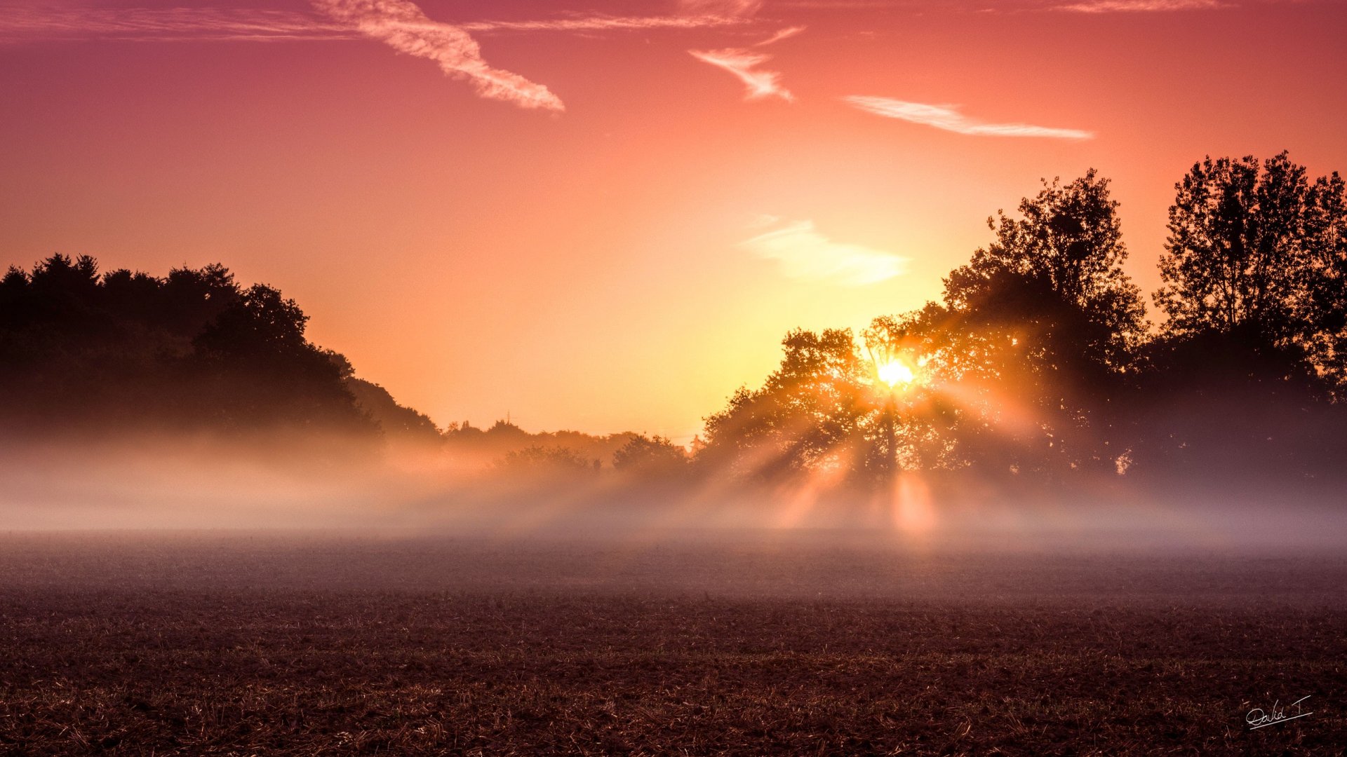 2K Quad HD PC desktop wallpaper and background of a nature sunset: sunbeams pierce fog over a meadow, trees silhouetted against a warm orange sky.