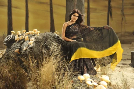 HD PC desktop wallpaper featuring celebrity Genelia D'Souza in a black and yellow saree sitting on a textured log amidst dry grass and mushrooms.