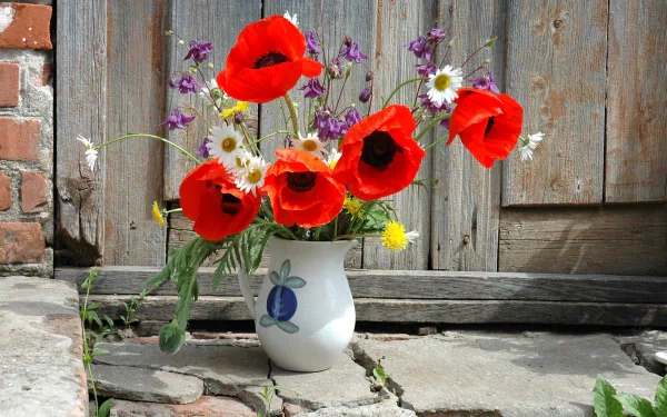 vase flower photography still life HD Desktop Wallpaper | Background Image
