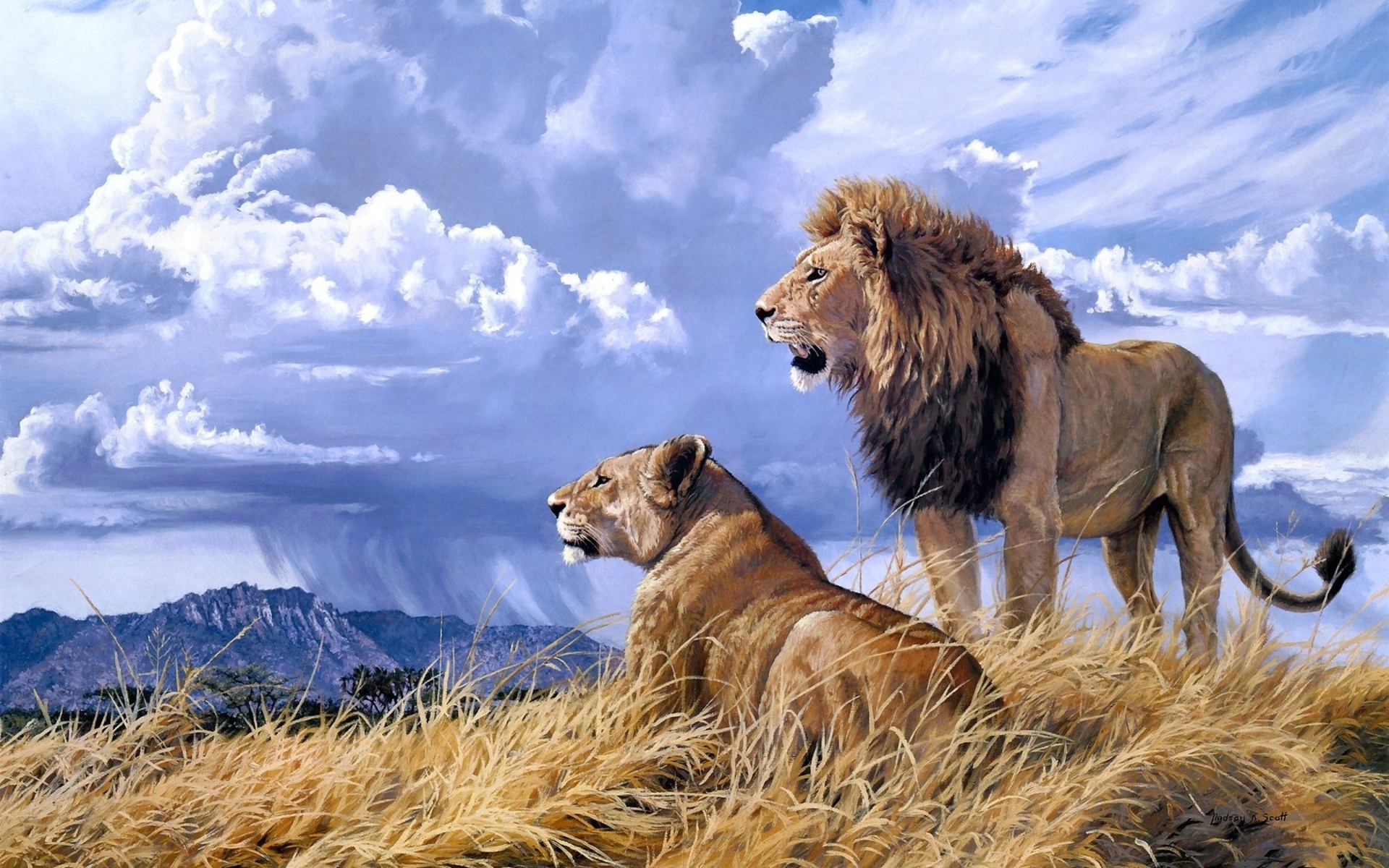 Lion and Lioness by Lindsay B. Scott