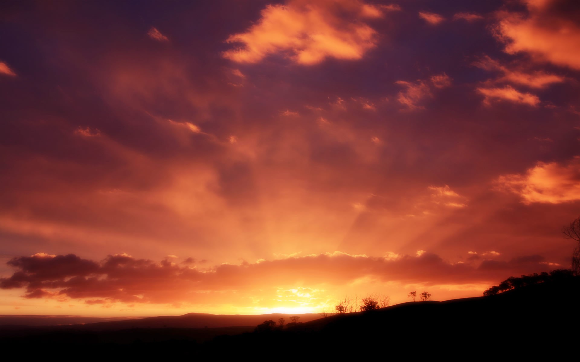 Sunset HD Wallpaper | Background Image | 1920x1200 ...