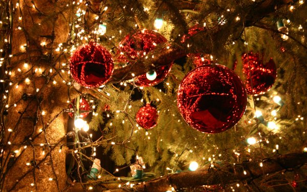 Día festivo Navidad Christmas Lights Christmas Ornaments Luz Fondo de pantalla HD | Fondo de Escritorio