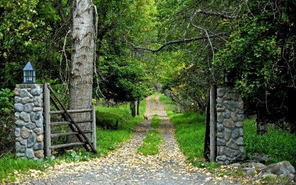 Earth Path Gate Road Tree HD Wallpaper | Background Image