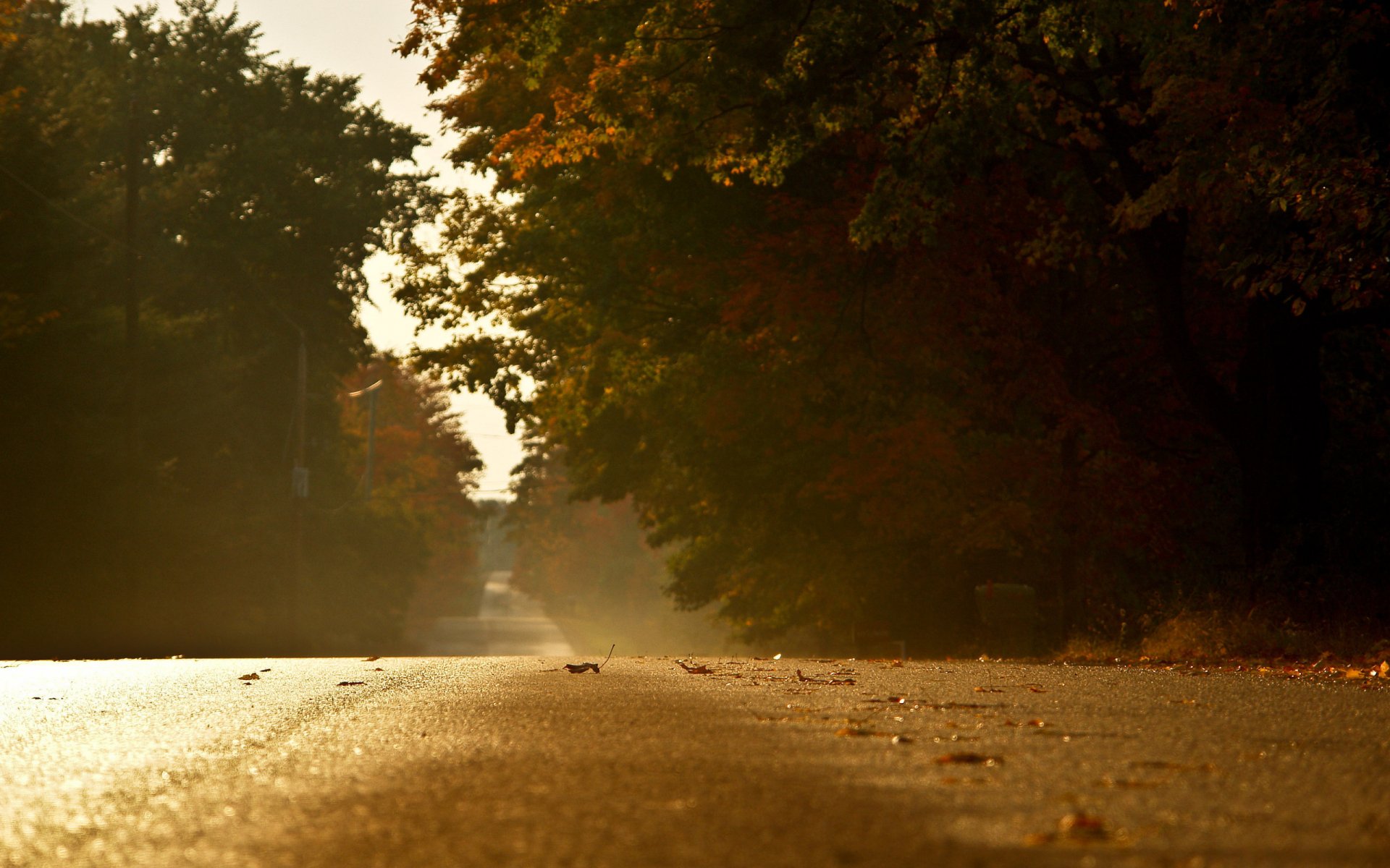 Road HD Wallpaper